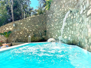 Evelyns Pool Garden